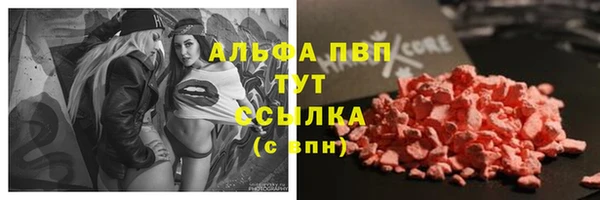 a pvp Няндома