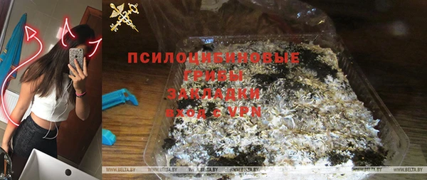 МДПВ Новозыбков