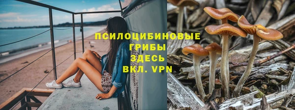 ALPHA-PVP Новодвинск
