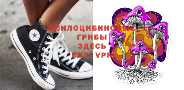 МДПВ Новозыбков