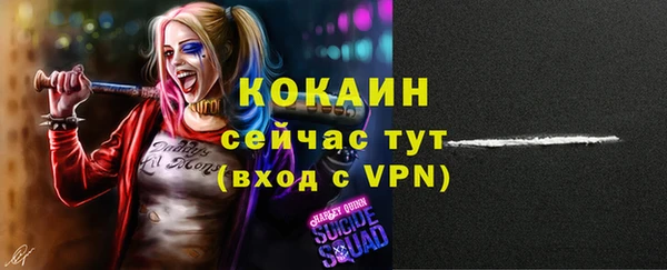 винт Нягань