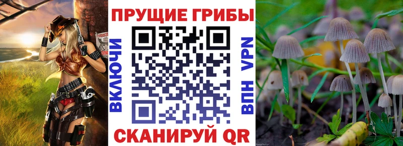 гидра онион  Анива  Галлюциногенные грибы MAGIC MUSHROOMS 